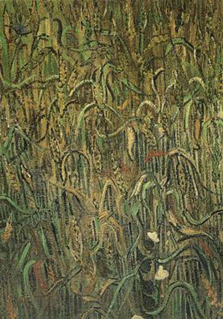 steve art gallery Ears of Wheat Vincent Van Gogh 64.5x48.5cm