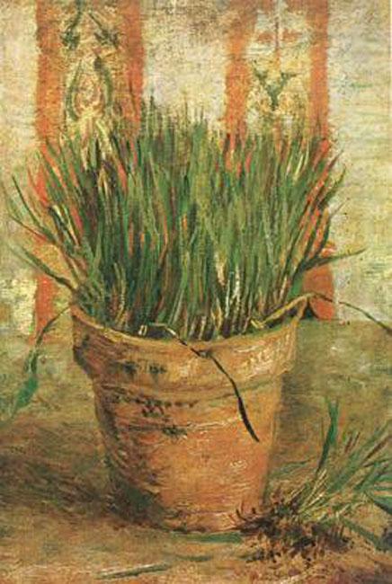 steve art gallery Flowerpot with Chives Vincent Van Gogh 31.5x22cm