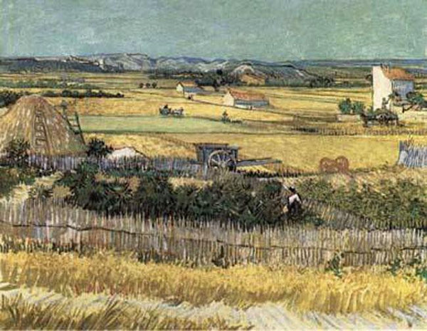 steve art gallery Harvest at La Crau with Montmajour in the Background 60x50cm