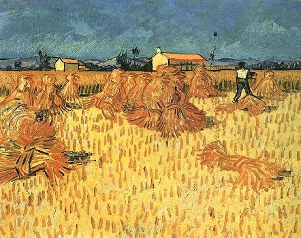 steve art gallery Harvest in Provence Vincent Van Gogh 50x60cm