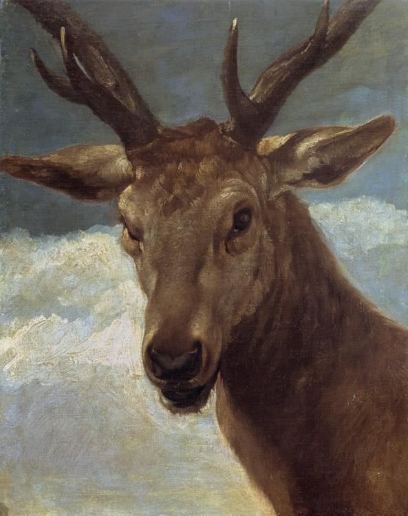 steve art gallery Head of a Stag Diego Velazquez 50x40cm