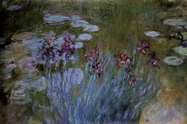 steve art gallery Irises and Water Lillies Claude Monet 60x40cm