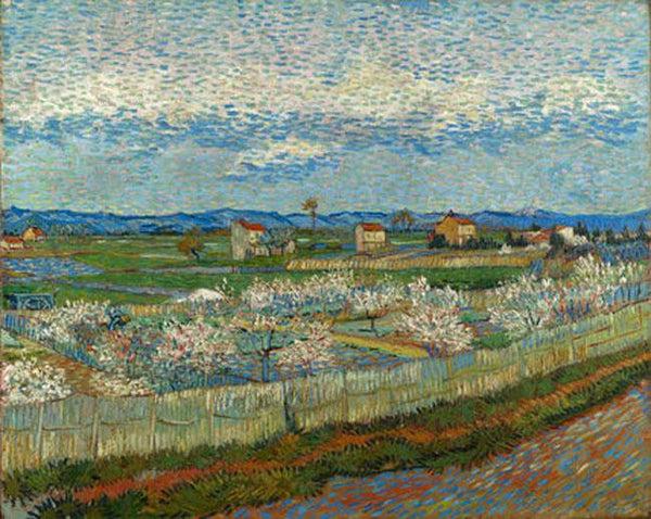 steve art gallery La Crau with Peach Trees in Blossom Vincent Van Gogh 81.5x65.5cm