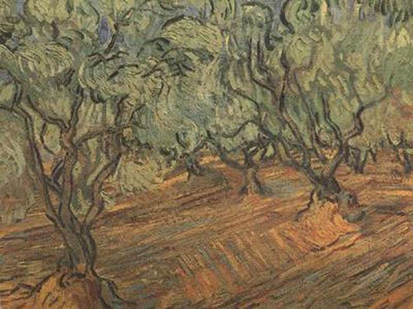 steve art gallery Olive Grove:Bright Blue Sky Vincent Van Gogh 45.5x59.5cm