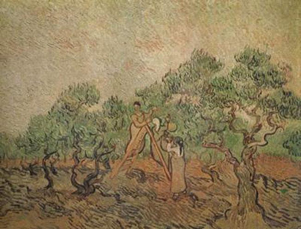 steve art gallery Olive Picking Vincent Van Gogh 50x40cm