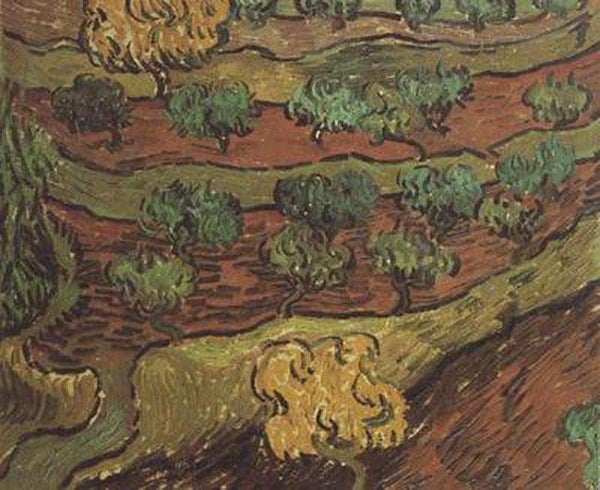 steve art gallery Olive Trees against a Slope of a Hill Vincent Van Gogh 33.5x40cm