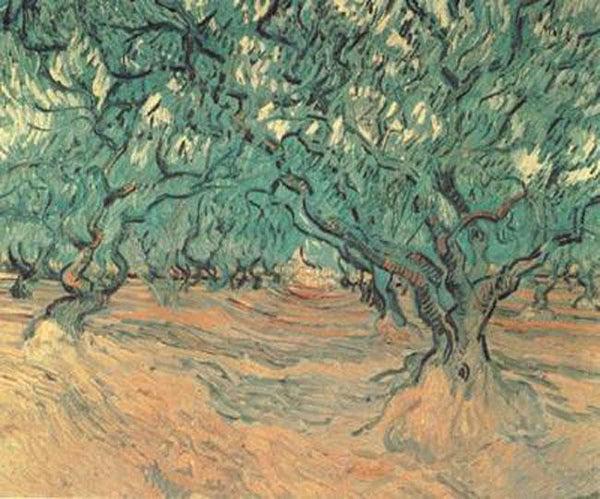 steve art gallery Olive Trees Vincent Van Gogh 53.5x64.5cm