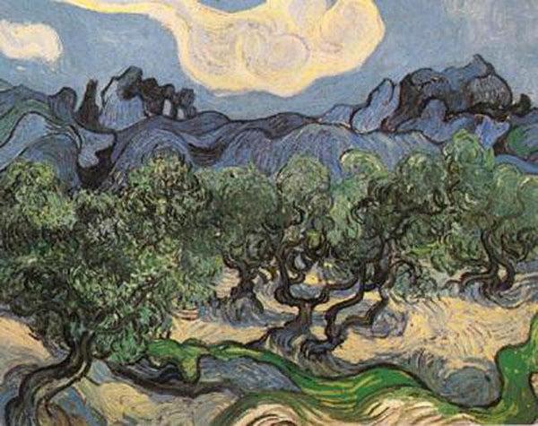steve art gallery Olive Trees with the Alpilles in the Background Vincent Van Gogh