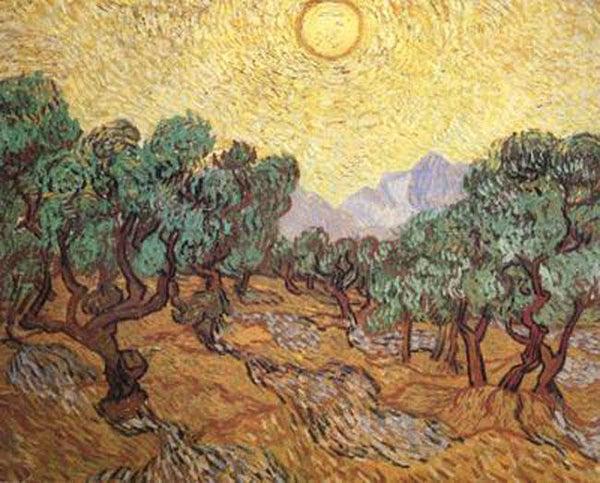steve art gallery Olive Trees with Yellow Sky and Sun Vincent Van Gogh 50x40cm
