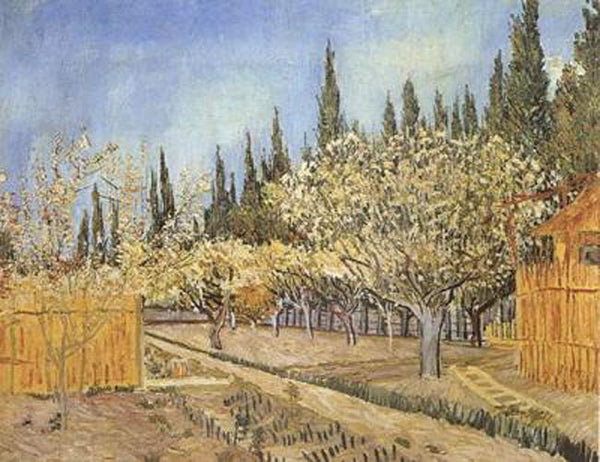 steve art gallery Orchard in Blossom Bordered by Cypresses Vincent Van Gogh 65x81cm