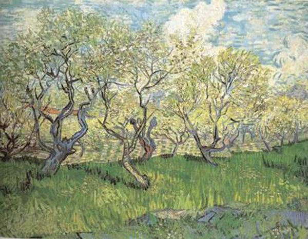 steve art gallery Orchard in Blossom Vincent Van Gogh 50x40cm