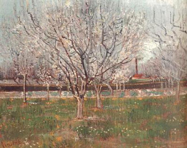 steve art gallery Orchard in Blossom Vincent Van Gogh 55x65cm