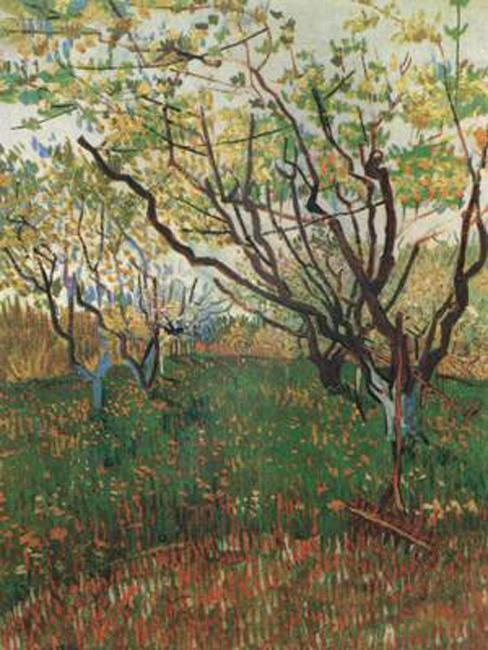 steve art gallery Orchard in Blosson Vincent Van Gogh 72.4x53.5cm