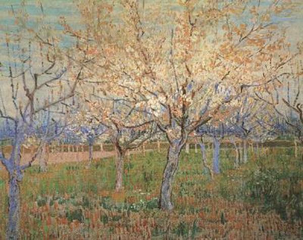 steve art gallery Orchard with Blossoming Apricot Trees Vincent Van Gogh 64.5x80.5cm