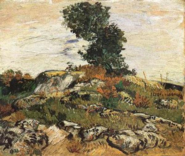steve art gallery Rocks with Oak Trees Vincent Van Gogh 54x65cm