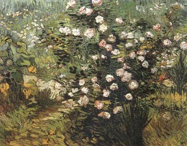 steve art gallery Rosebush in Blossom Vincent Van Gogh 33x42cm