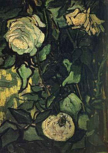 steve art gallery Roses and Beetle Vincent Van Gogh 33.5x24.5cm
