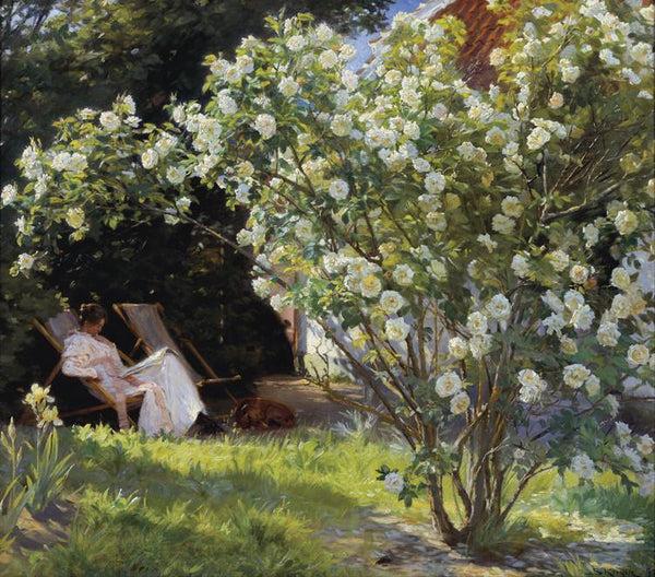 steve art gallery Roses Garden in Skagen Peder Severin Kroyer 60x50cm