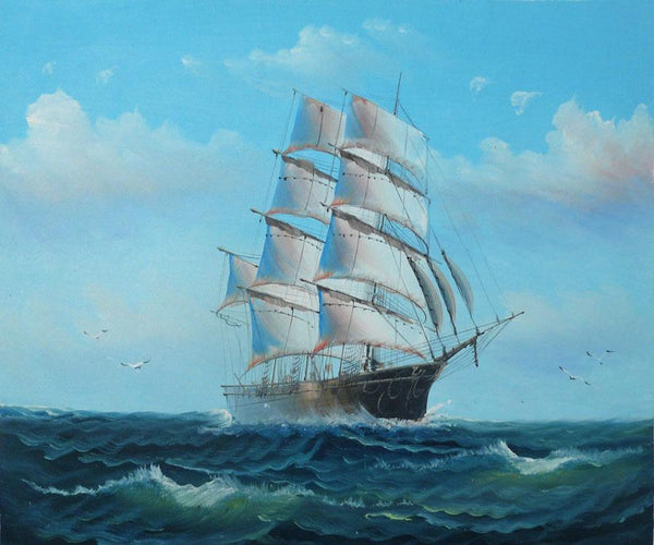steve art gallery Sail boat with seagulls navigation oil painting on canvas