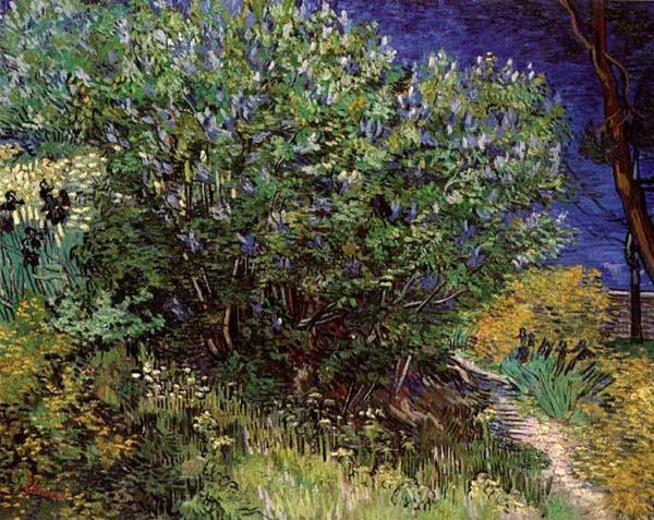 steve art gallery Bushes Vincent Van Gogh 60x50cm