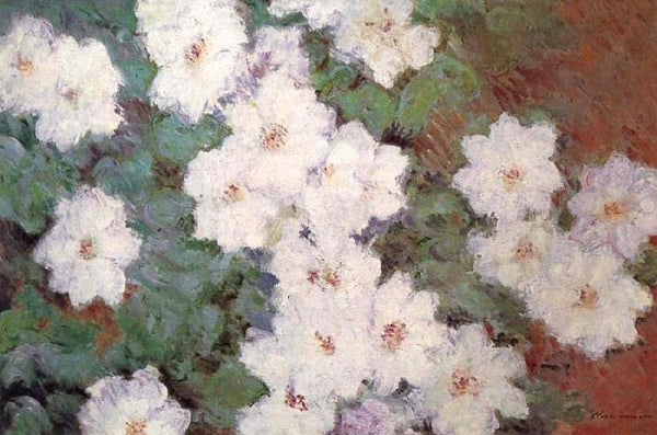 steve art gallery Clematis Claude Monet 60x40cm
