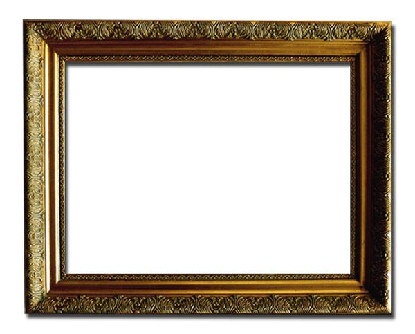 Steve Art Gallery Gold Frame 8x10 Ins Or 20x25 Cm