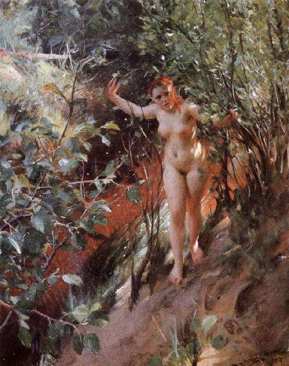 steve art gallery Red sand Anders Zorn 50x40cm