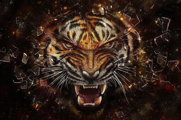 steve art gallery Tiger Printed picture 36x24 ins