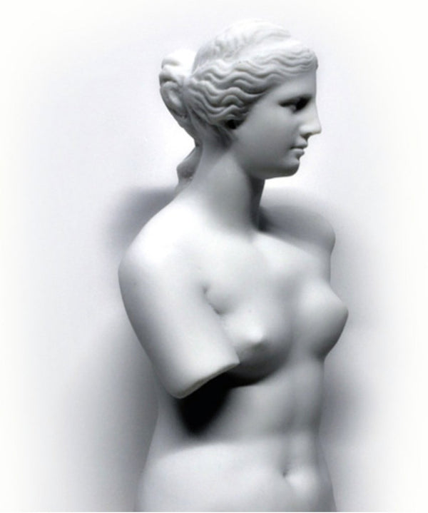 Steve Art Gallery Venus 48x13x12 Cm