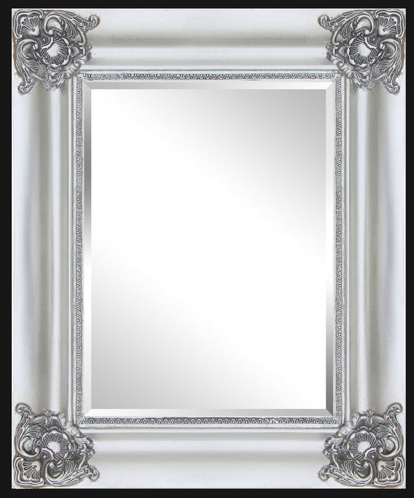 Steve Art Gallery Wooden Frame Silver 50x60 Cm