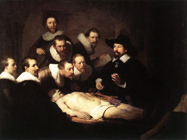 steve art gallery The Anatomy Lesson of Dr REMBRANDT Harmenszoon van Rijn 50x40cm
