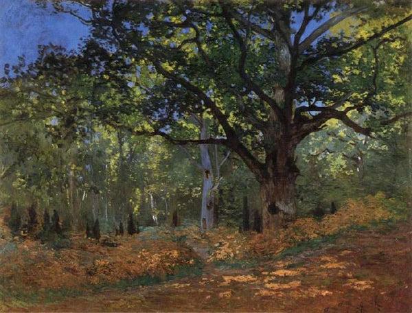 steve art gallery The Bodmer Oak Forest of Fontainebleau Claude Monet 50x40cm