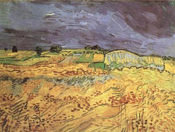 steve art gallery The Fields Vincent Van Gogh 50x65cm