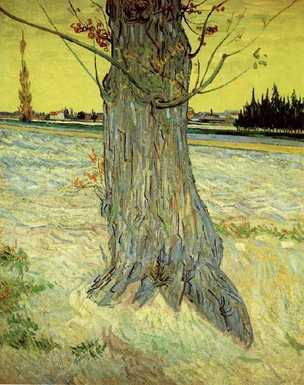 steve art gallery The Old yew tree Vincent Van Gogh 36x29cm