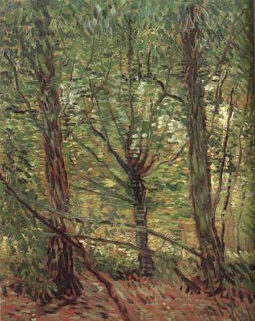 steve art gallery Trees adn Undergrowth Vincent Van Gogh 46x36cm