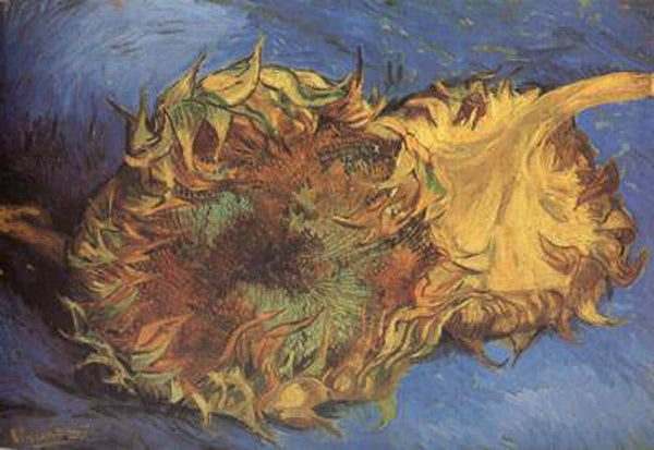 steve art gallery Two Cut Sunflowers Vincent Van Gogh 43.2x61cm