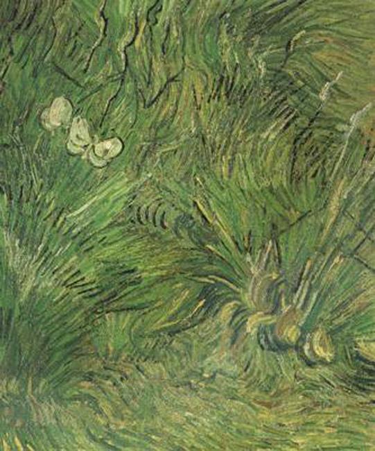 steve art gallery Two White Butterflies Vincent Van Gogh 55x44.5cm