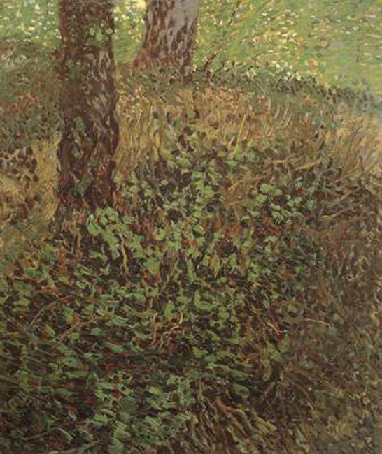 steve art gallery Undergrowth Vincent Van Gogh 46x38cm