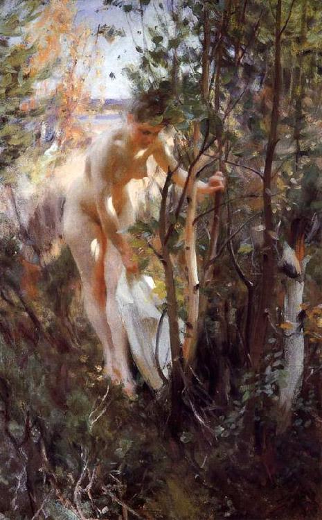 steve art gallery Unknow work 88 Anders Zorn 80x40cm