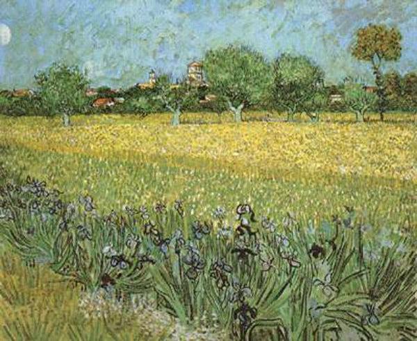 steve art gallery View of Arles with Irises in the Foreground Vincent Van Gogh 54x65cm