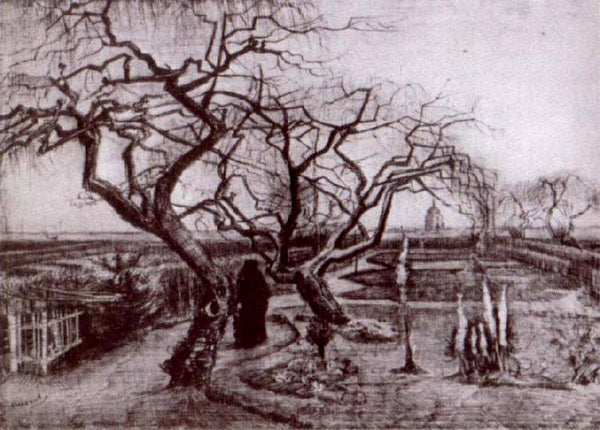 steve art gallery Winter Garden Vincent Van Gogh 60x40cm