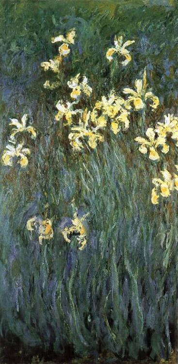 steve art gallery Yellow Irises Claude Monet 80x40cm
