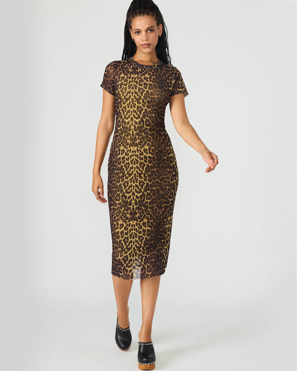 Steve Madden Short Sleeve Hailee Dress Hot Spots Print SHORTSLEEVEHAILEEDRESS