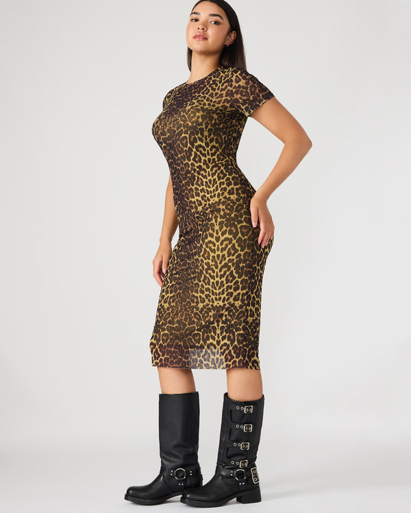 Steve Madden Short Sleeve Hailee Dress Hot Spots Print SHORTSLEEVEHAILEEDRESS