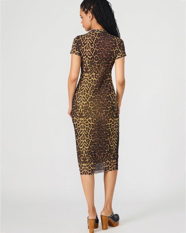 Steve Madden Short Sleeve Hailee Dress Hot Spots Print SHORTSLEEVEHAILEEDRESS