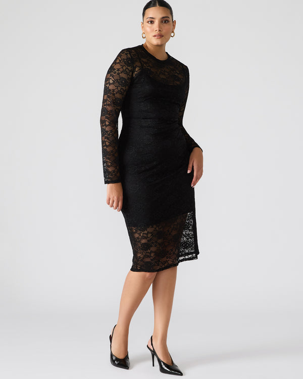 Steve Madden Hailee Lace Dress Black