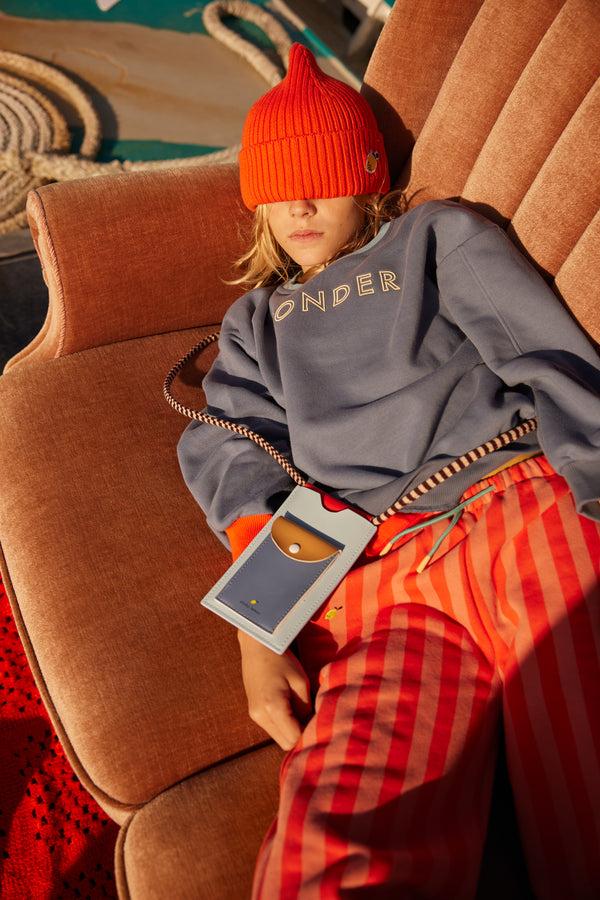 Sticky Lemon Phone Pouch | Colourblocking | Zissou Blue