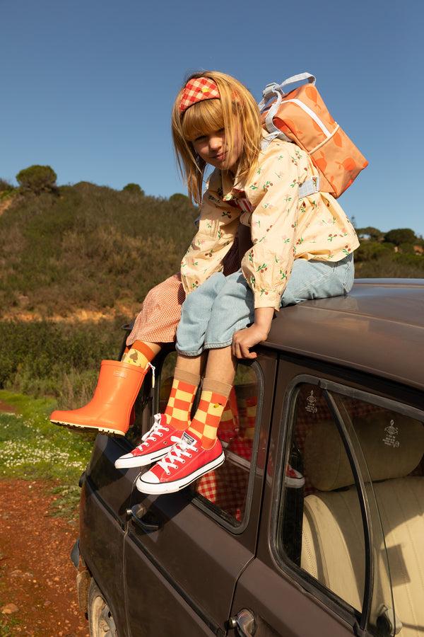 Sticky Lemon Socks | Farmhouse | Checkerboard Ladybird Red