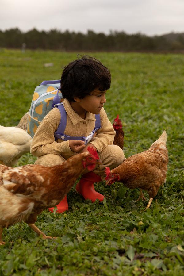 sticky lemon chest strap | farmhouse | uni