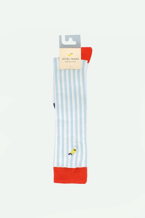 Sticky Lemon Knee High Socks | Stripes | Zissou Blue